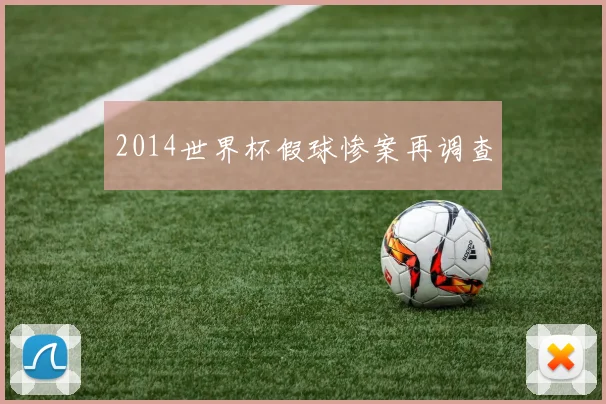 2014世界杯假球惨案再调查