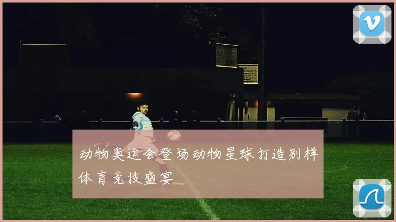 动物奥运会登场动物星球打造别样体育竞技盛宴