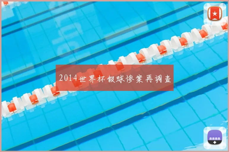 2014世界杯假球惨案再调查