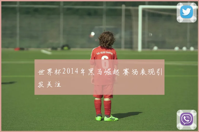 世界杯2014年黑马崛起 赛场表现引发关注