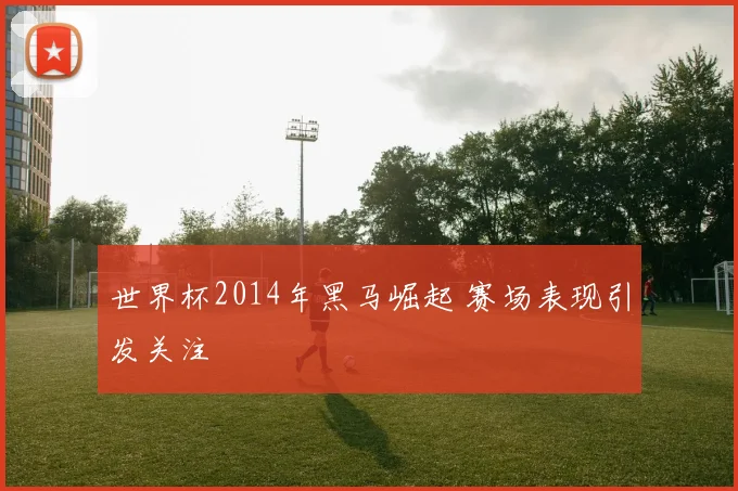 世界杯2014年黑马崛起 赛场表现引发关注